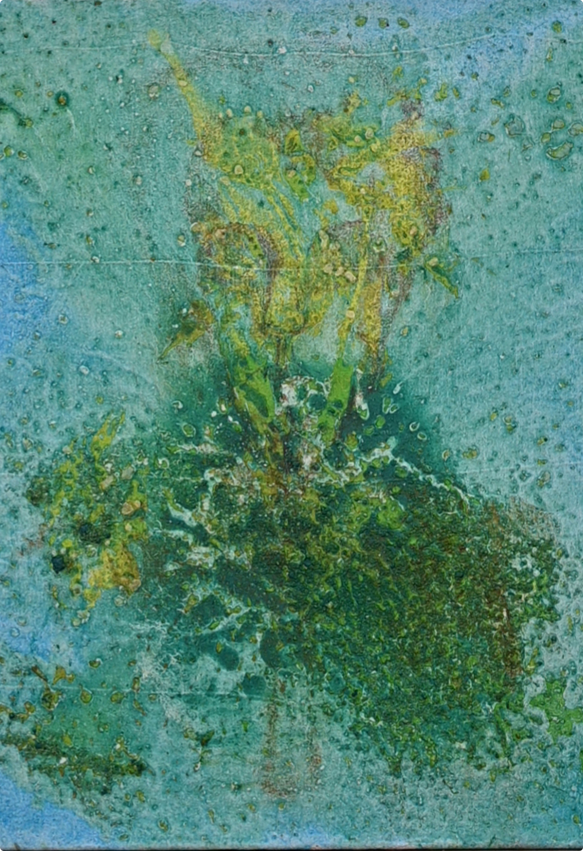 Alchimista